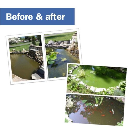 Gebruik 1 blok per 1.000 liter water. Voor optimaal resultaat: combineer met Bacta Clear (vijverbacteriën). Pond Block verwijderd algen
