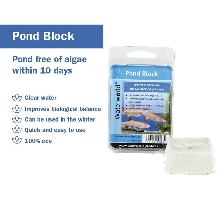 Pond-Block-3