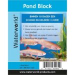 Pond-Block-4
