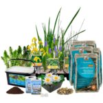 Vijverplanten Pakket – voor ca. 2000 liter water – 36 Winterharde Waterplanten